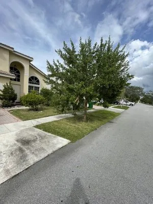 Juan Tree services and Landscaping Logo