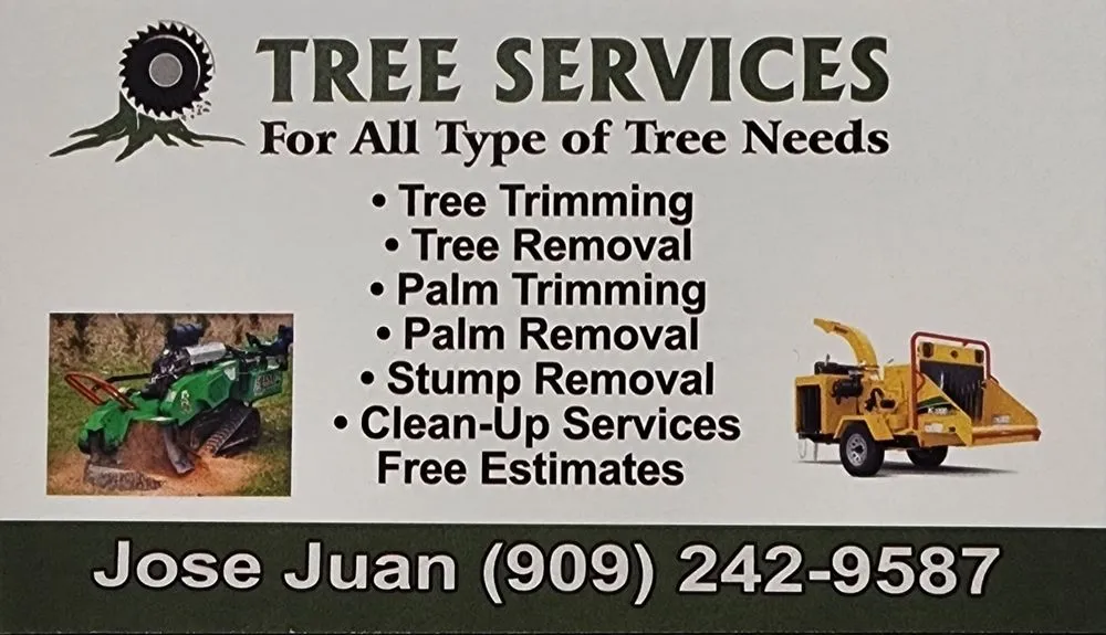 Local yard cleanup service for beautiful yards across Los Angeles, CA - Juan Tree Services