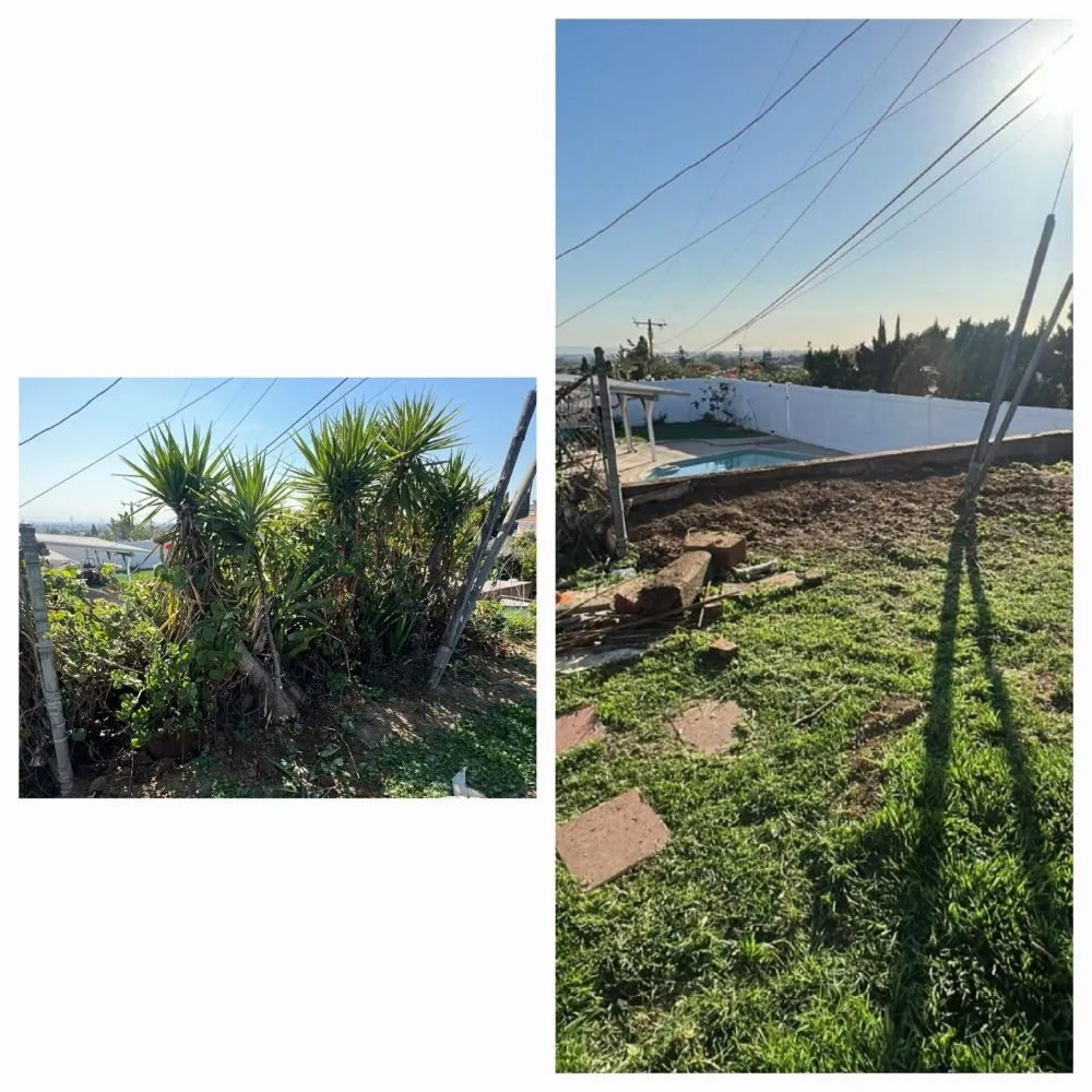 Custom garden landscaping experts serving Los Angeles, CA - Juan Tree Services