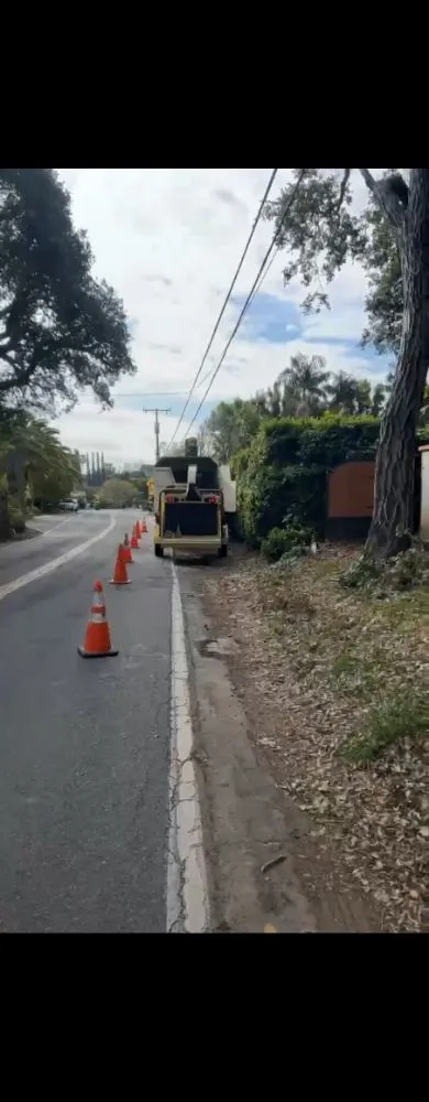 Trusted residential landscaping experts serving Los Angeles, CA - Juan Tree Services