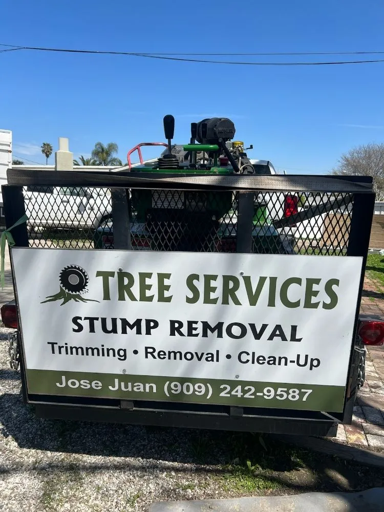 Custom lawn care service with custom design in Los Angeles, CA by Juan Tree Services