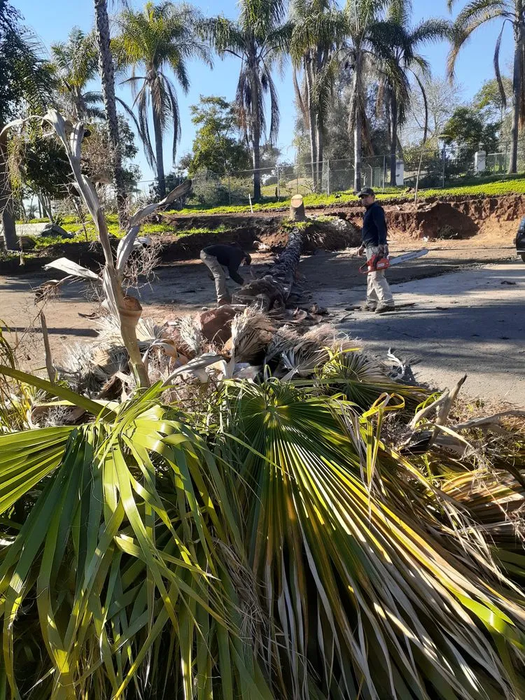 Local lawn mowing service for outdoor upgrades across Oceanside, CA - Juan Trees Services & Landscaping