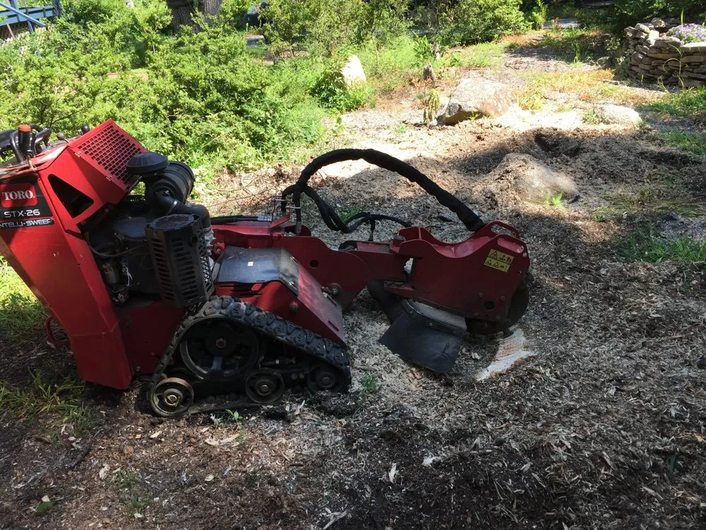 Top-rated outdoor landscaping in East Hampton, NY by Juan Vargas Landscaping