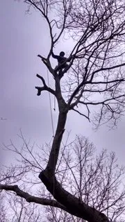 Reliable garden landscaping for beautiful yards in East Hampton, NY by Juan Vargas Landscaping