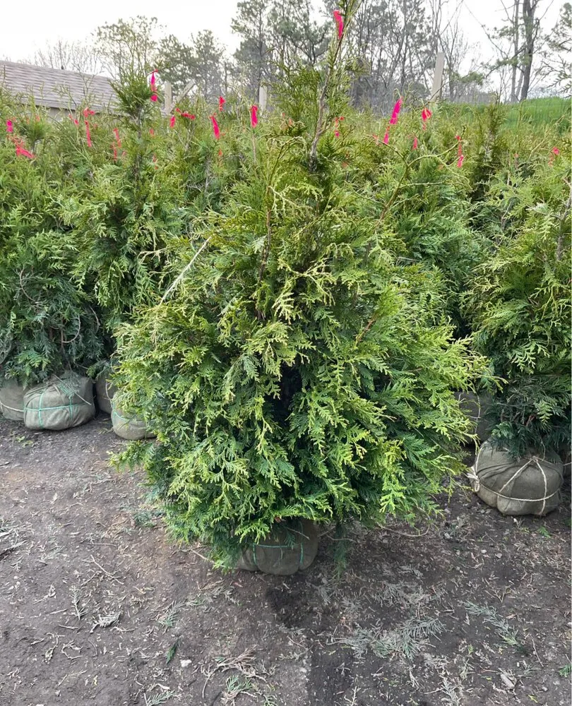 Reliable landscape installation in Hampton Bays, NY by Juanito Landscaping