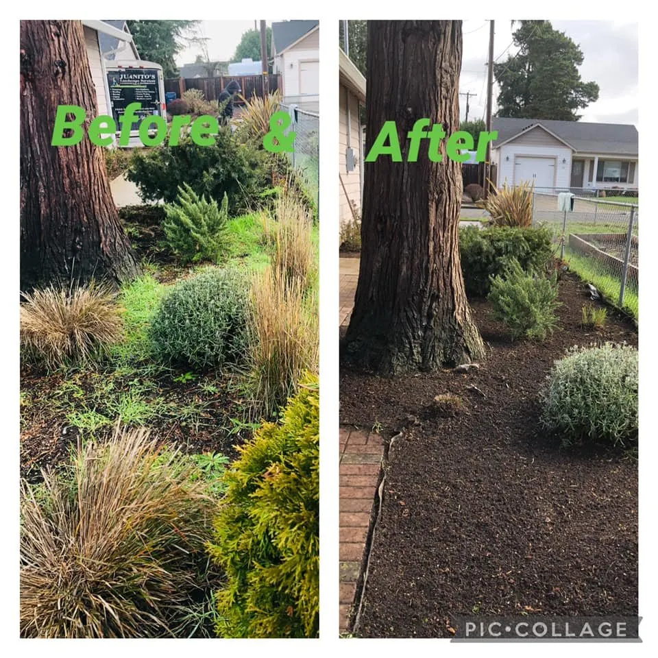 Top-rated outdoor landscaping experts serving Eugene, OR - Juanito's Landscape Service