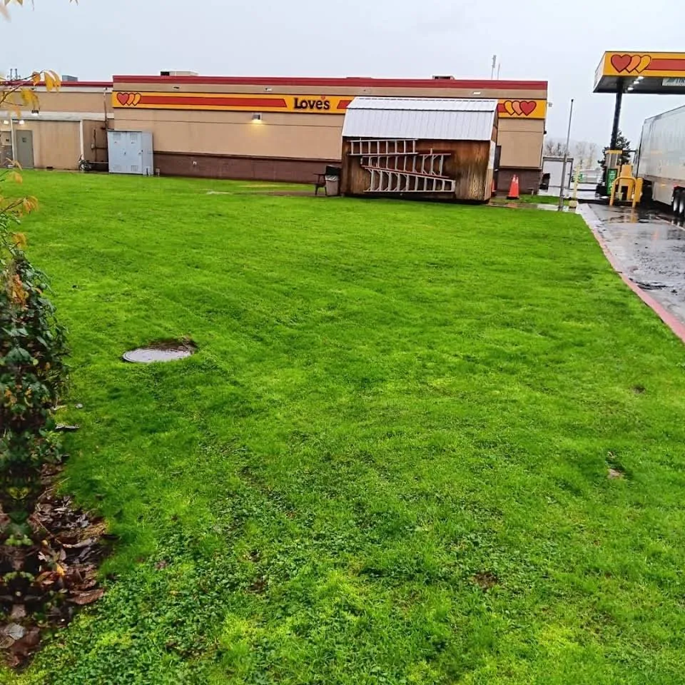 Trusted lawn mowing service in Eugene, OR by Juanito's Landscape Service