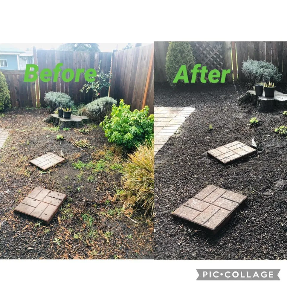 Trusted residential landscaping in Eugene, OR by Juanito's Landscape Service