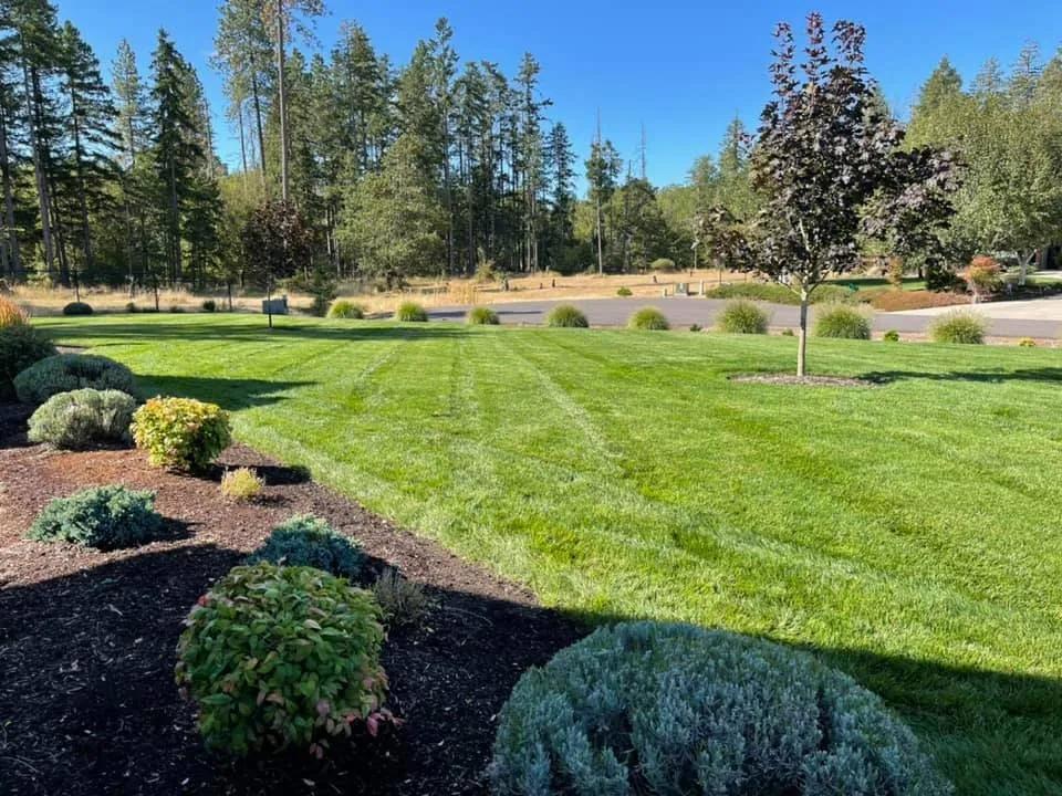 Local landscaping services in Eugene, OR - Juanito's Landscape Service