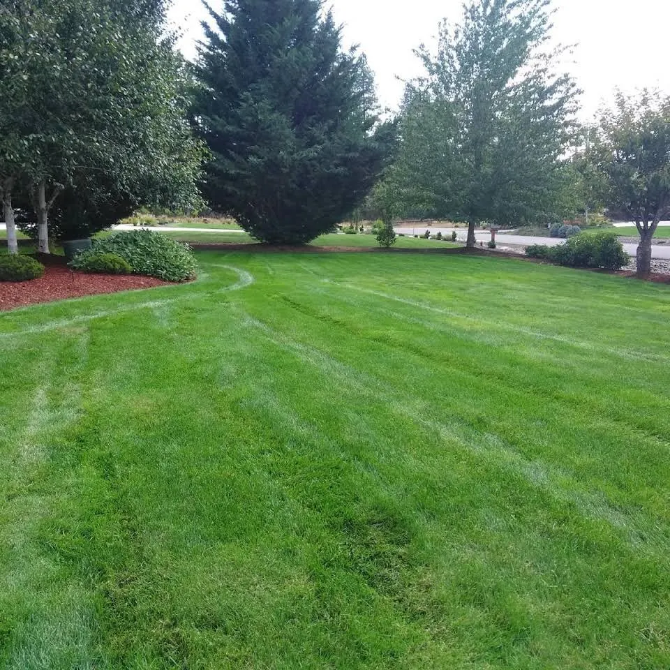 Local lawn care service experts serving Eugene, OR - Juanito's Landscape Service