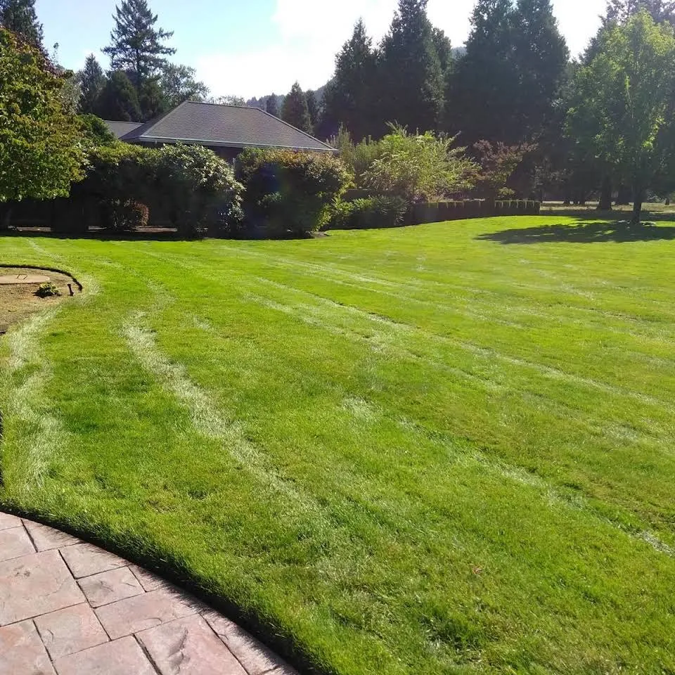 Professional yard cleanup service in Eugene, OR - Juanito's Landscape Service
