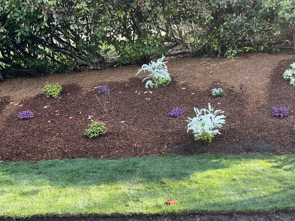 Top-rated landscape design for residential properties across Eugene, OR - Juanito's Landscape Service