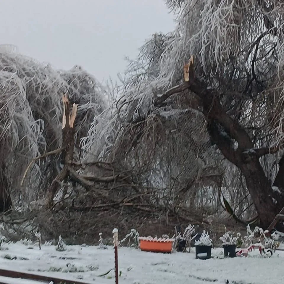 Local residential landscaping experts serving Eugene, OR - Juanito's Landscape Service