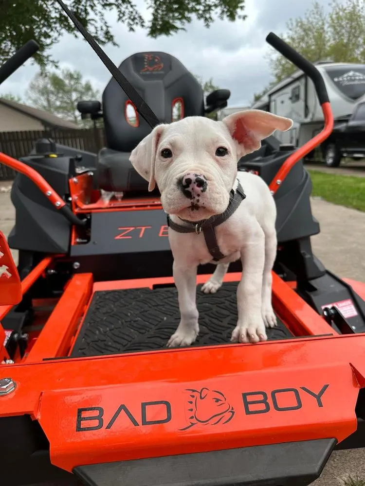 Affordable lawn care service for homes in Waxahachie, TX by Juanito's y Juanitas Lawn Service