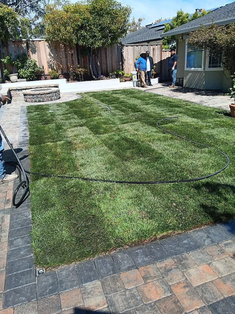 Top-rated garden landscaping for outdoor upgrades in San Mateo, CA by Juan's Complete Gardening Services