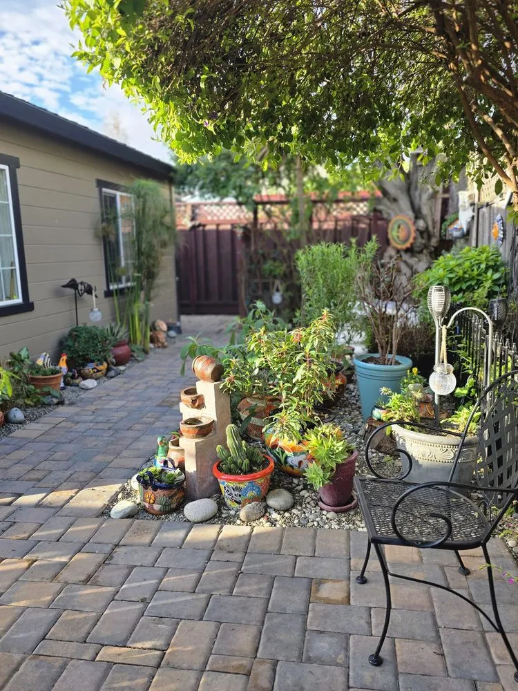 Professional yard maintenance experts serving San Mateo, CA - Juan's Complete Gardening Services