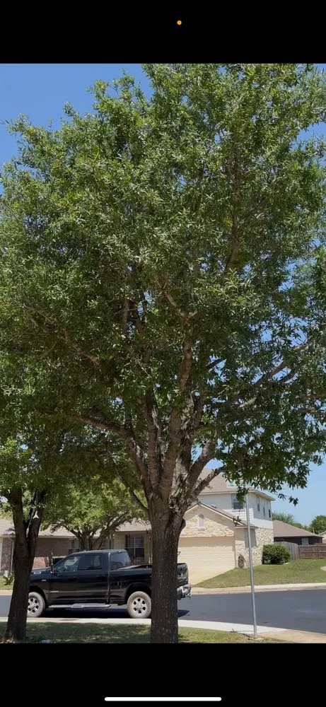 Expert residential landscaping with custom design across Austin, TX - Juan’s Gardening Service Lawn Maintenance & Landscaping