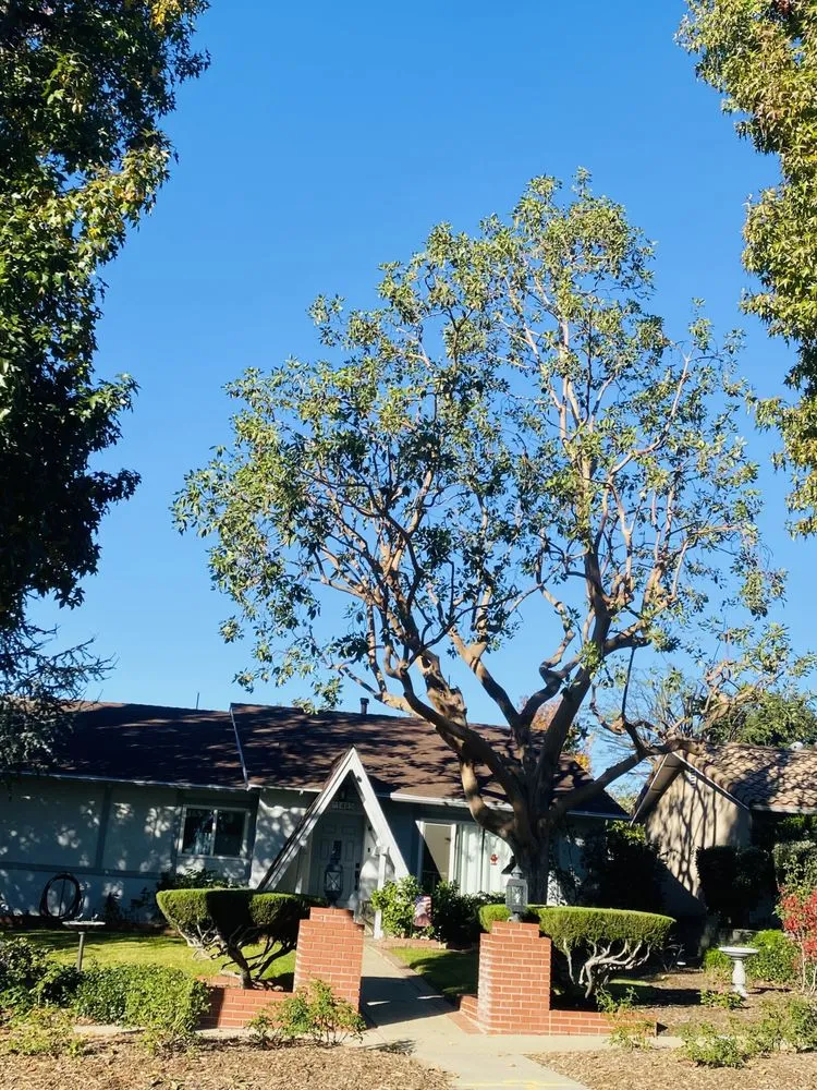 Reliable residential landscaping for homes in Ontario, CA by Juan's Gardening Service