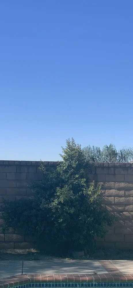 Custom lawn care service near you across Ontario, CA - Juan's Gardening Service