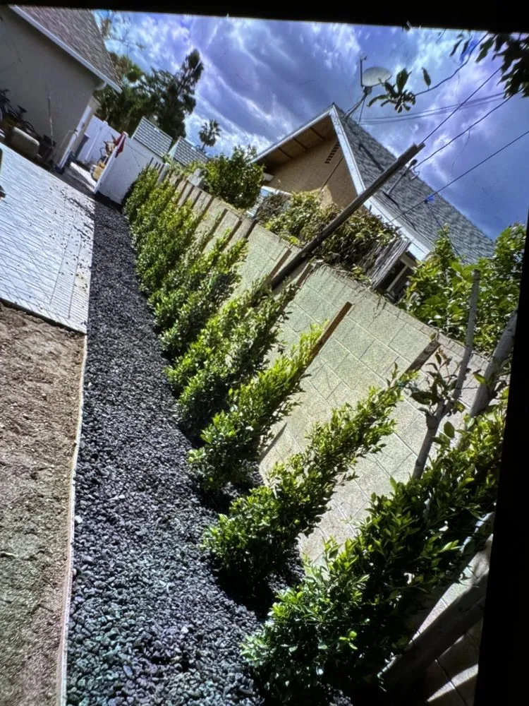 Professional landscape design for homes across Ontario, CA - Juan's Gardening Service