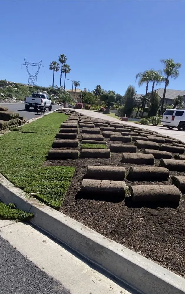 Local yard cleanup service for homes across Ontario, CA - Juan's Gardening Service