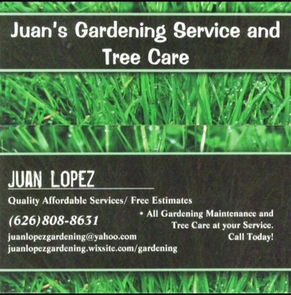 Reliable garden landscaping for beautiful yards in Pasadena, CA by Juan's Gardening Service