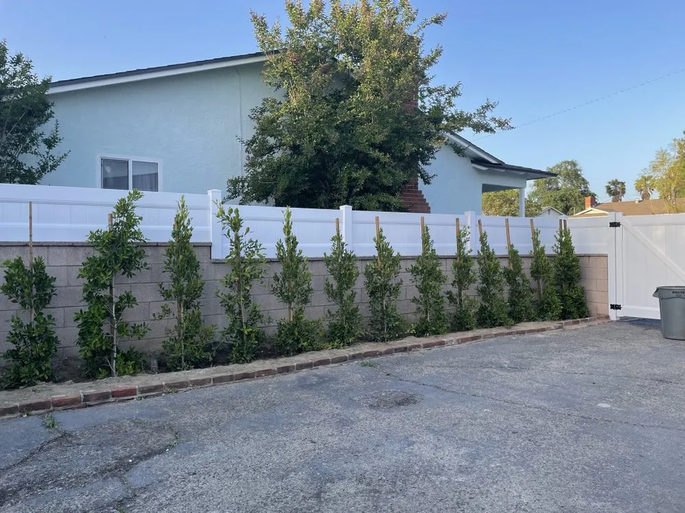 Reliable yard cleanup service for beautiful yards in Pasadena, CA by Juan's Gardening Service