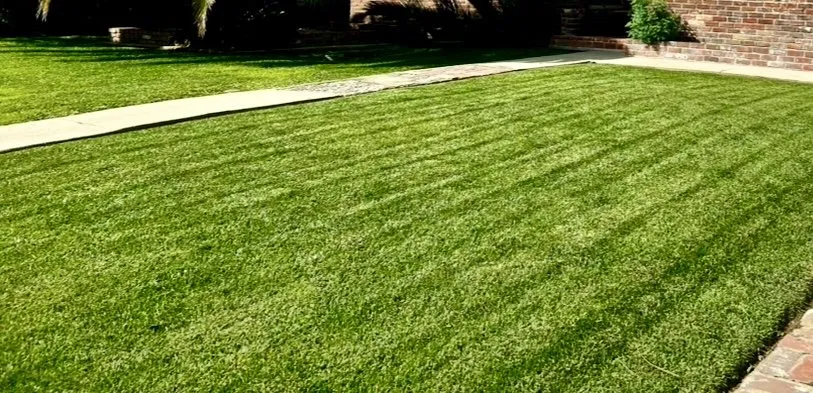 Top-rated landscaping services in Pasadena, CA - Juan's Gardening Service