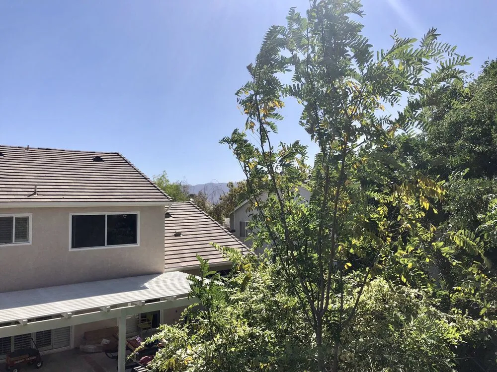 Trusted yard cleanup service in Santa Clarita, CA by Juan's Gardening Service