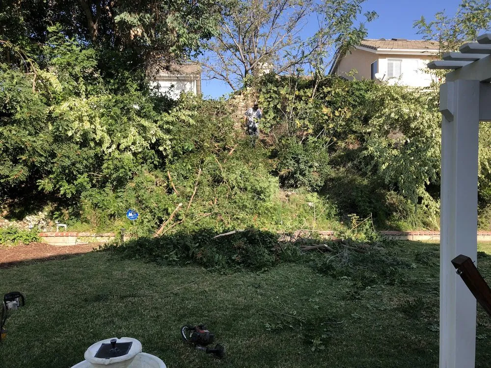 Affordable yard maintenance in Santa Clarita, CA by Juan's Gardening Service