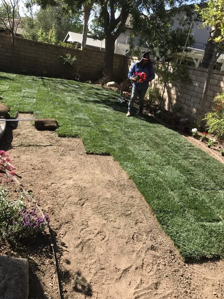 Reliable residential landscaping experts serving Santa Clarita, CA - Juan's Gardening Service