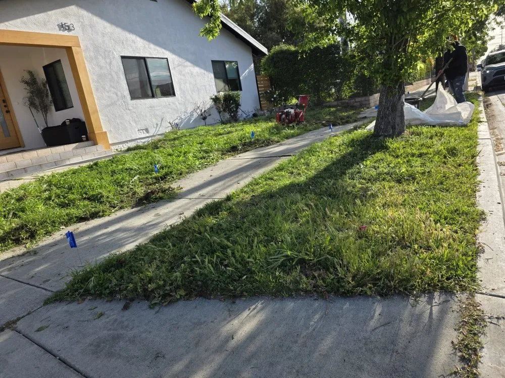 Professional landscape design for outdoor upgrades in Upland, CA by Juan's Gardening Services