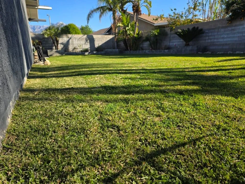 Custom lawn care service near you in Upland, CA by Juan's Gardening Services