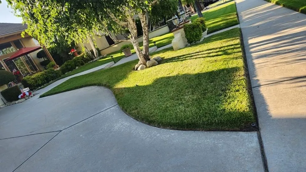 Affordable landscape design for beautiful yards in Upland, CA by Juan's Gardening Services