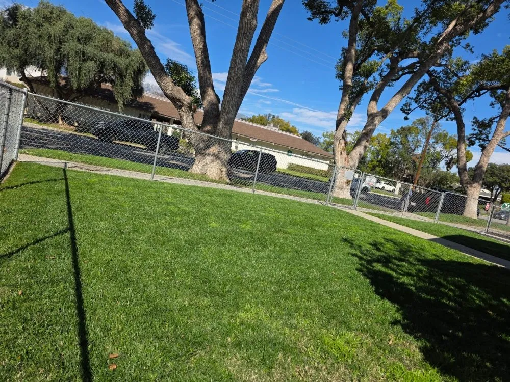 Expert yard cleanup service for beautiful yards across Upland, CA - Juan's Gardening Services