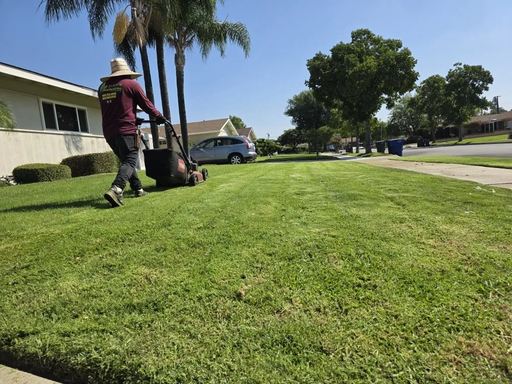 Top-rated landscape installation near you across Upland, CA - Juan's Gardening Services