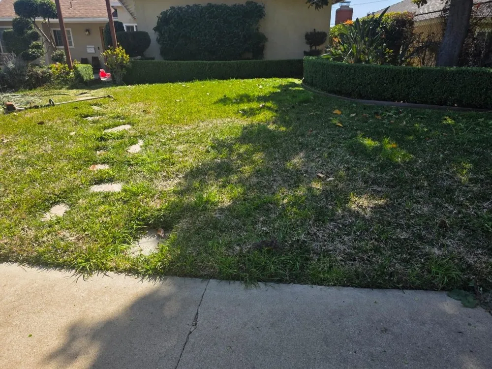 Expert lawn mowing service for beautiful yards across Upland, CA - Juan's Gardening Services