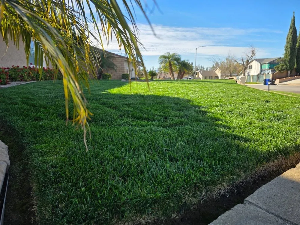 Professional outdoor landscaping in Upland, CA - Juan's Gardening Services