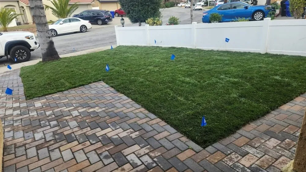 Top-rated yard cleanup service in Upland, CA - Juan's Gardening Services