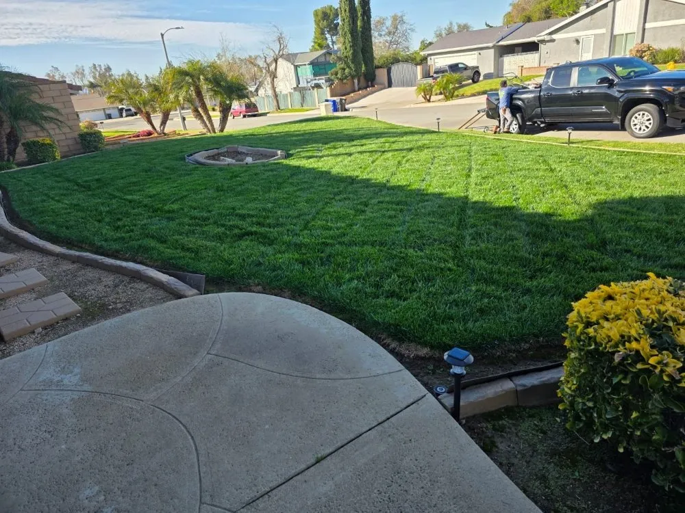 Affordable lawn care service experts serving Upland, CA - Juan's Gardening Services
