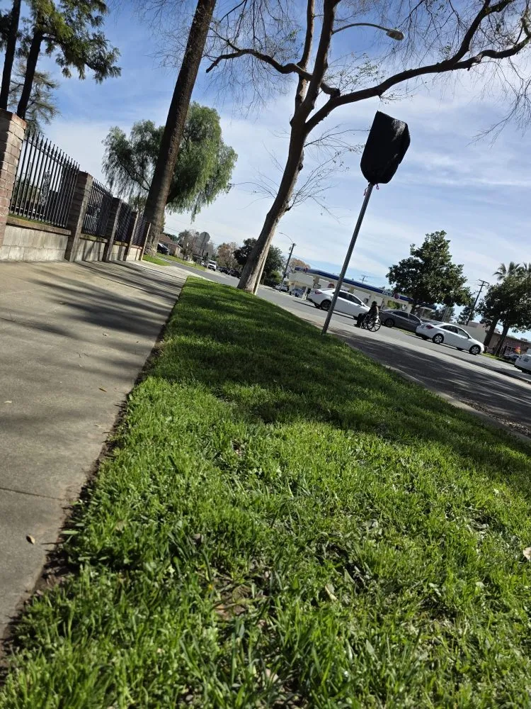 Trusted lawn care service for year-round maintenance in Upland, CA by Juan's Gardening Services