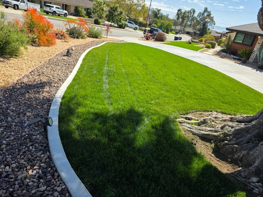 Expert yard maintenance for outdoor upgrades in Upland, CA by Juan's Gardening Services