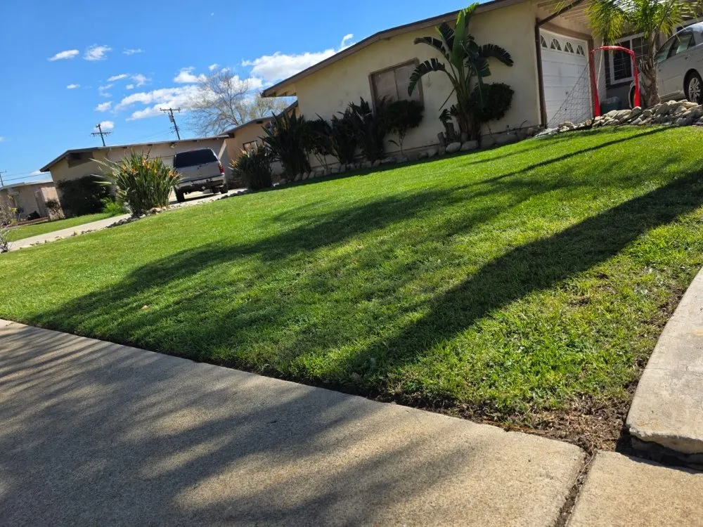 Professional lawn mowing service in Upland, CA - Juan's Gardening Services