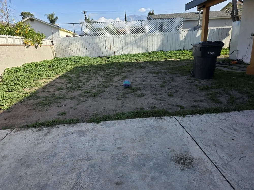 Reliable yard maintenance in Upland, CA by Juan's Gardening Services
