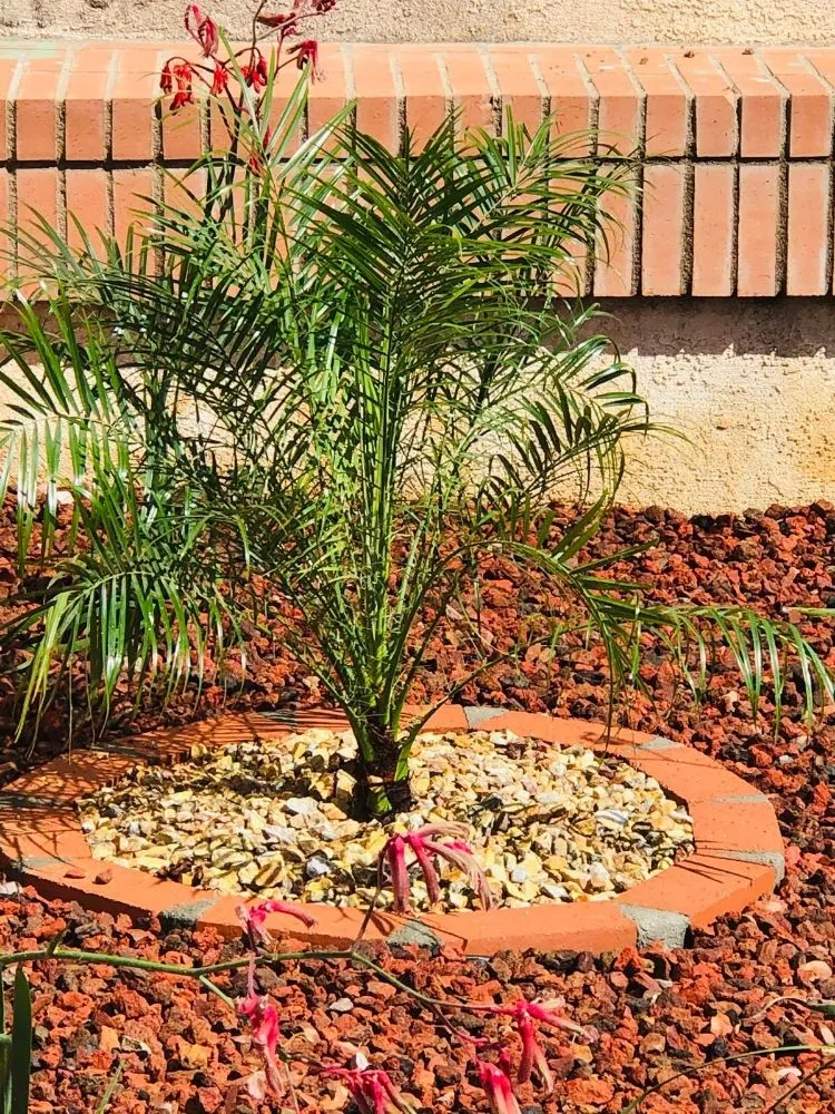Professional residential landscaping in Upland, CA by Juan's Gardening Services