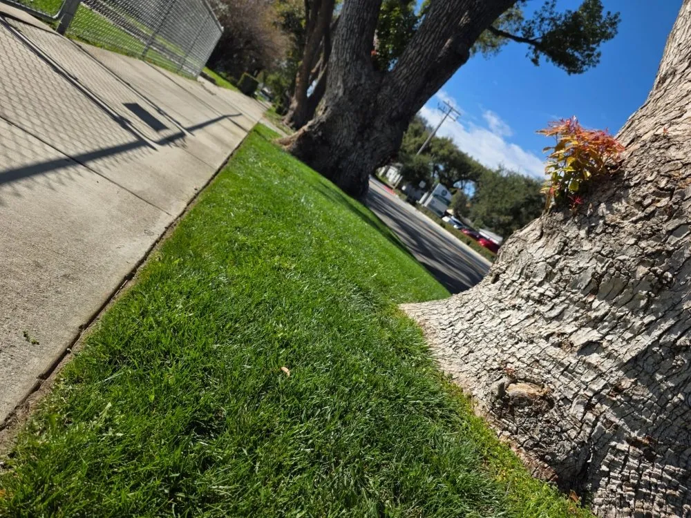 Top-rated landscape installation experts serving Upland, CA - Juan's Gardening Services