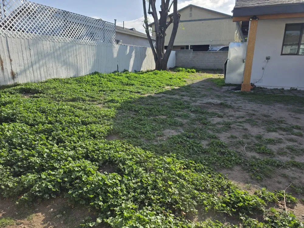Reliable garden landscaping experts serving Upland, CA - Juan's Gardening Services
