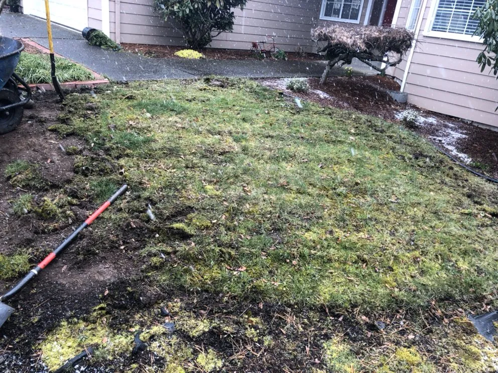 Professional lawn care service for outdoor upgrades in Tualatin, OR by Juan's Landscape Maintenance