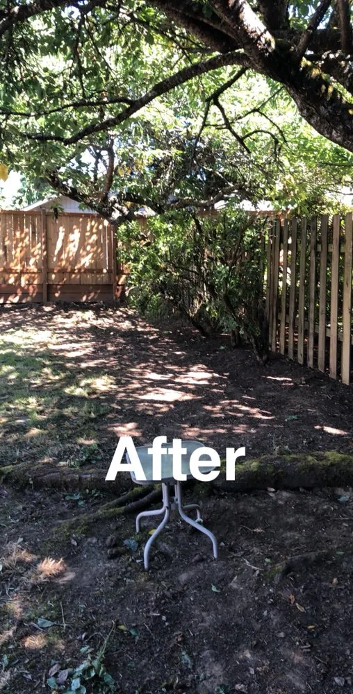 Top-rated yard maintenance for year-round maintenance in Tualatin, OR by Juan's Landscape Maintenance