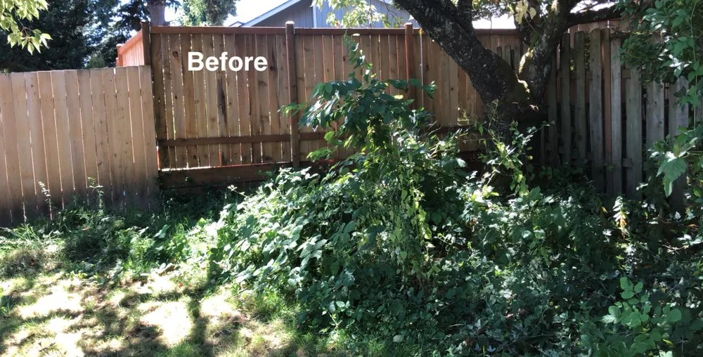 Custom lawn mowing service for homes in Tualatin, OR by Juan's Landscape Maintenance